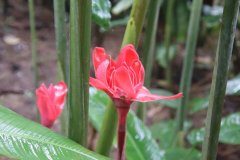 IMG_3883_ergebnis