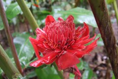 IMG_3884_ergebnis