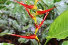 IMG_3885_ergebnis