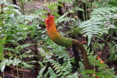 IMG_3886_ergebnis