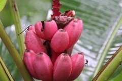 IMG_3888_ergebnis