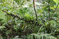 IMG_3889_ergebnis