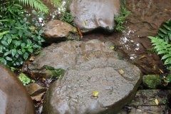 IMG_3890_ergebnis