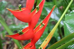 IMG_3893_ergebnis