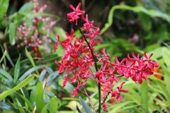 IMG_3894_ergebnis