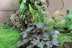 IMG_3895_ergebnis