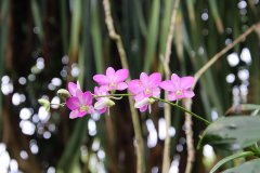 IMG_3900_ergebnis