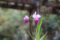 IMG_3908_ergebnis
