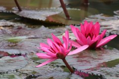IMG_3910_ergebnis