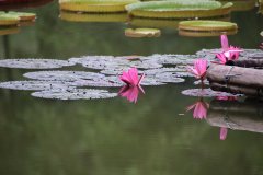 IMG_3913_ergebnis