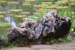 IMG_3917_ergebnis