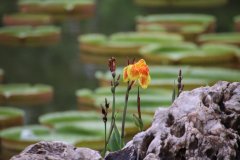 IMG_3918_ergebnis