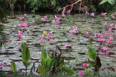 IMG_3920_ergebnis