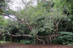IMG_3922_ergebnis