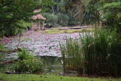 IMG_3924_ergebnis