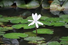 IMG_3925_ergebnis
