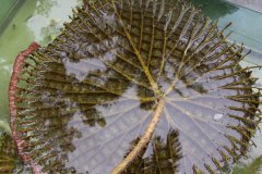 IMG_3926_ergebnis