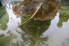 IMG_3927_ergebnis