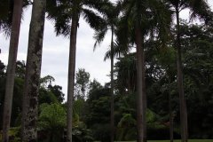 IMG_3928_ergebnis