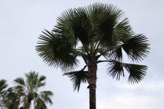 IMG_3930_ergebnis