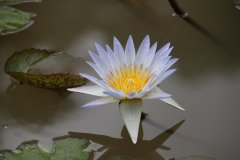 IMG_3936_ergebnis