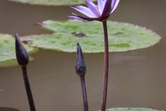 IMG_3937_ergebnis