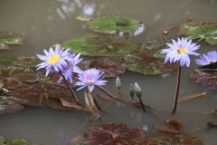 IMG_3939_ergebnis