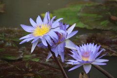 IMG_3940_ergebnis