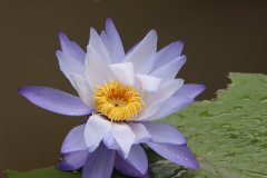 IMG_3941_ergebnis