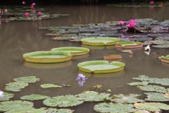 IMG_3943_ergebnis