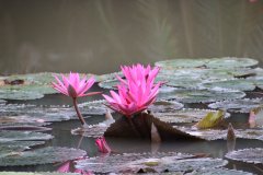 IMG_3944_ergebnis