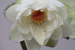 IMG_3946_ergebnis