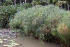 IMG_3947_ergebnis