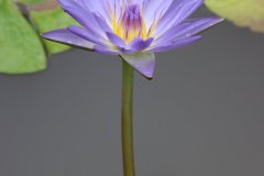 IMG_3948_ergebnis