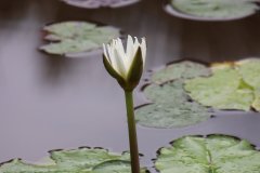 IMG_3950_ergebnis