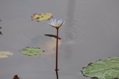 IMG_3951_ergebnis