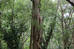 IMG_3960_ergebnis