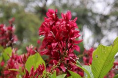 IMG_3962_ergebnis