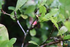 IMG_3963_ergebnis