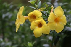 IMG_3966_ergebnis
