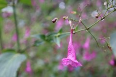 IMG_3969_ergebnis