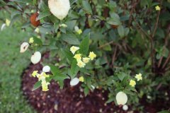 IMG_3974_ergebnis