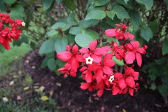 IMG_3975_ergebnis