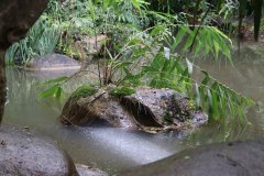 IMG_3992_ergebnis