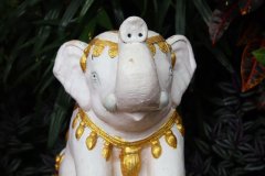 IMG_3997_ergebnis