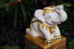 IMG_3998_ergebnis