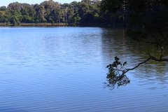IMG_2850_ergebnis
