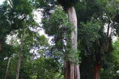IMG_3026_ergebnis