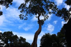 IMG_3039_ergebnis