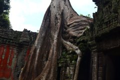 IMG_3048_ergebnis